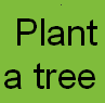 plant a tree