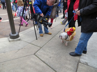 Phillies Pup Rally