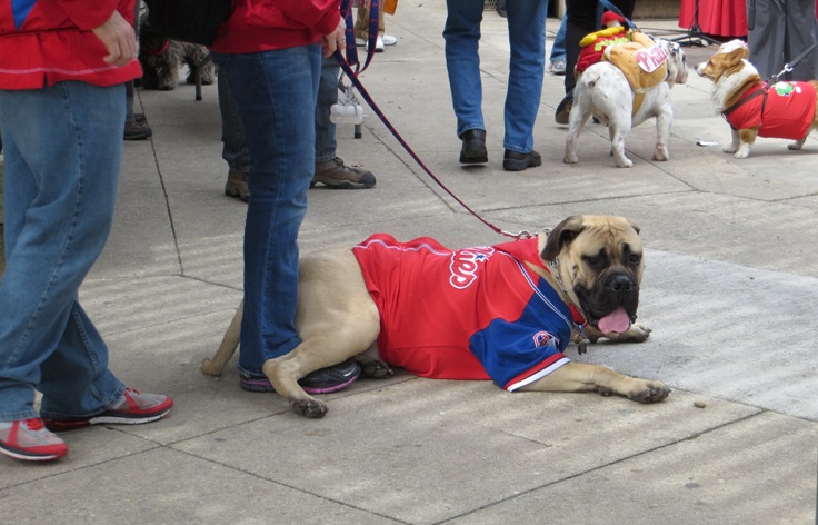 Phillies Pup Rally