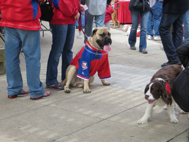 Phillies Pup Rally