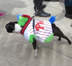 Phillies Pup Rally