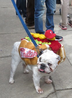 Phillies Pup Rally