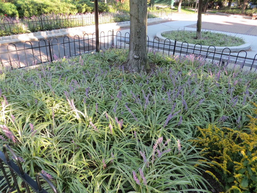 Schuylkill River Park