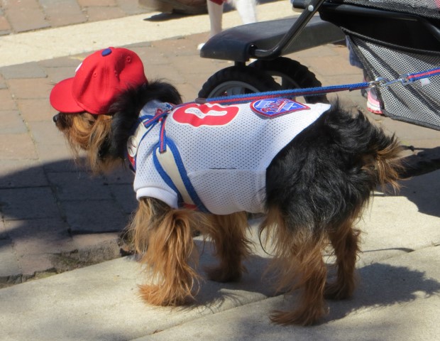 Phillies Pup Rally