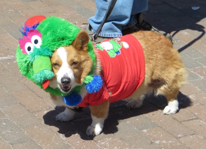 Phillies Pup Rally